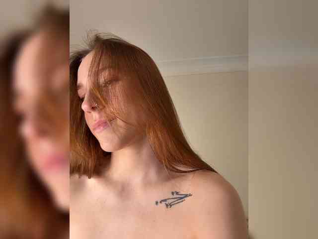 avolood avolood