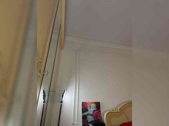 avolood webcam
