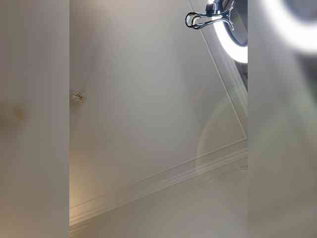 avolood webcam