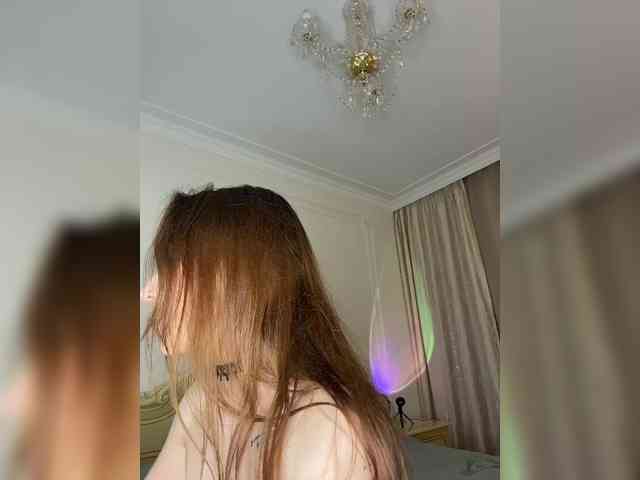 avolood webcam