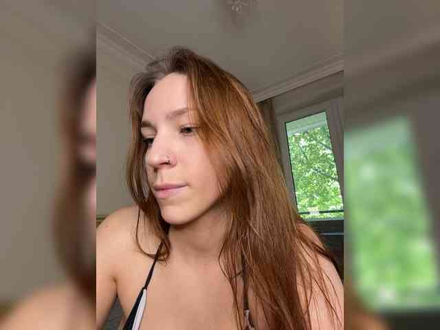 avolood webcam