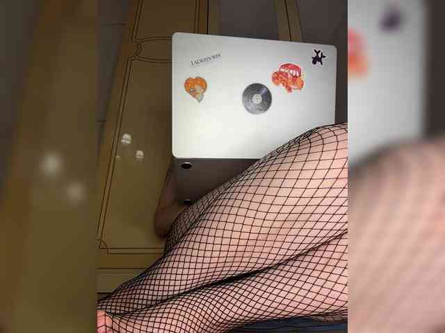 avolood webcam