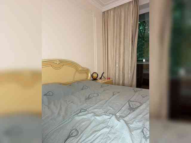 avolood webcam