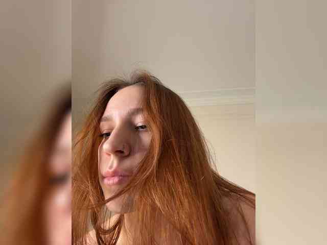 avolood webcam