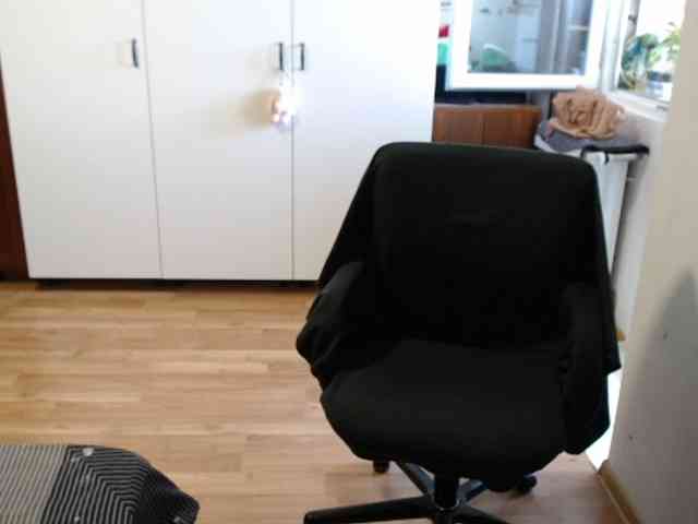 kristineexxx webcam