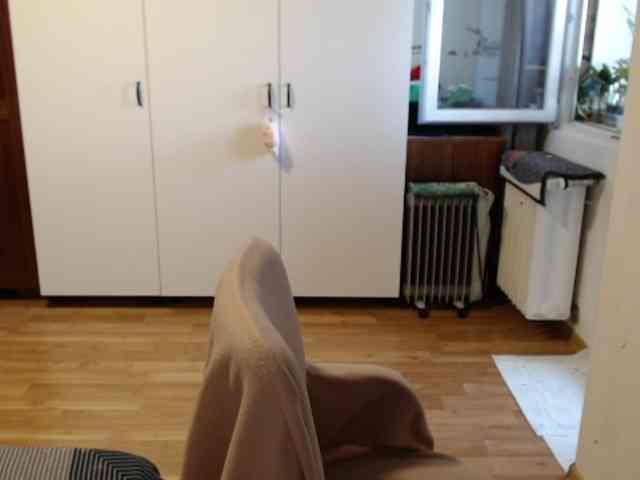 kristineexxx webcam