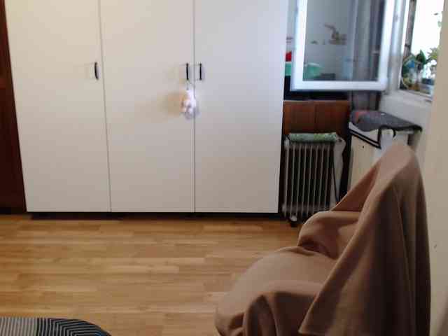 kristineexxx webcam