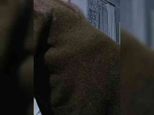 HelenBerg webcam