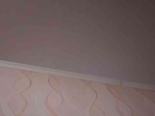 RzRoman19750 Sex Cam Show