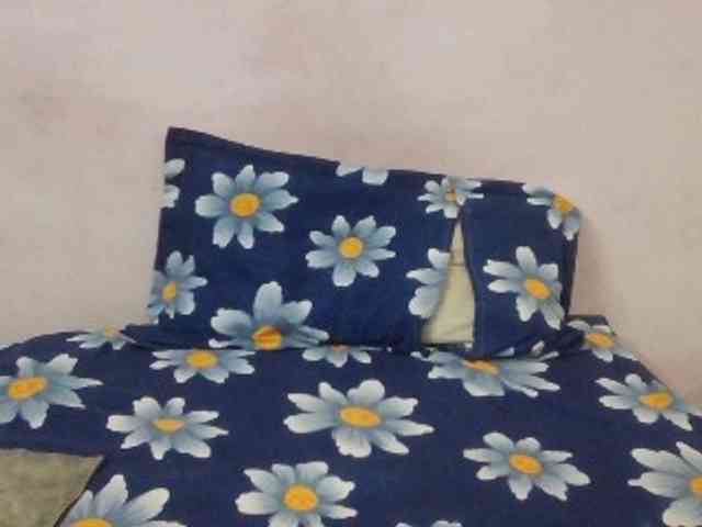 Anjali_dogra webcam