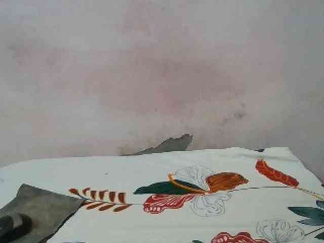 Anjali_dogra webcam