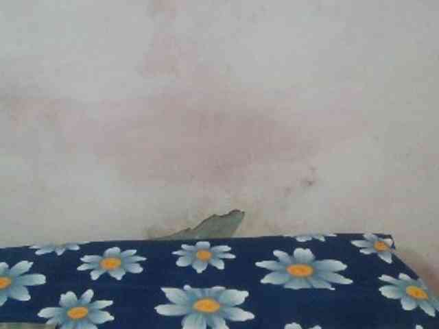 Anjali_dogra webcam