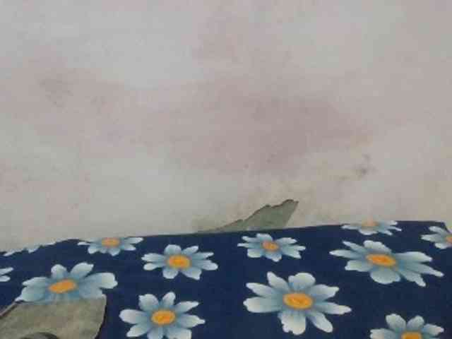 Anjali_dogra webcam