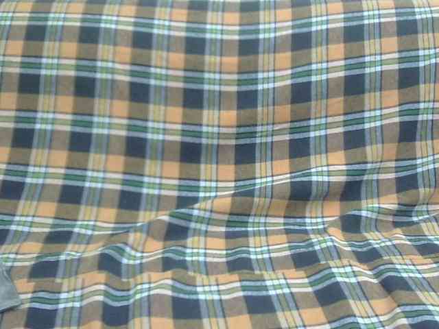 Anjali_dogra webcam