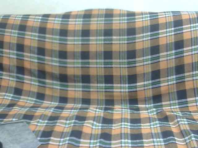 Anjali_dogra webcam
