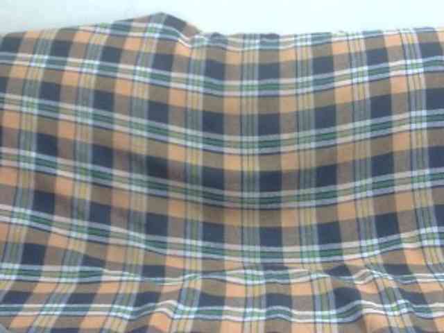 Anjali_dogra webcam