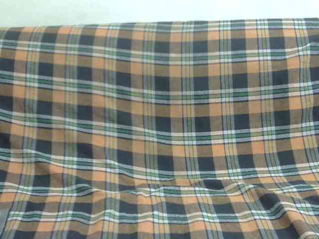 Anjali_dogra webcam