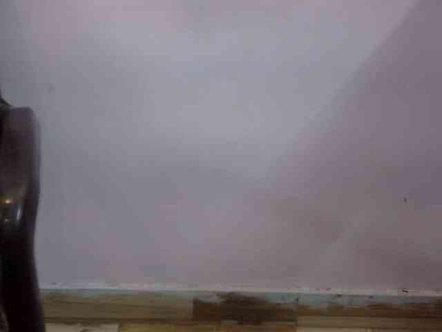 Anjali_dogra webcam