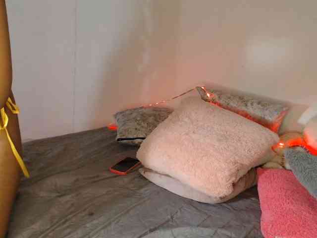 LINDA599 webcam
