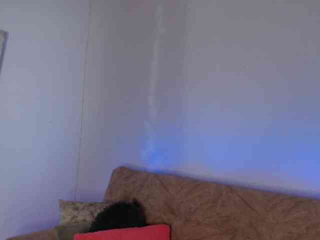 LINDA599 webcam