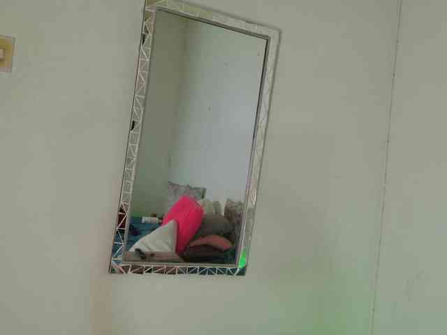 LINDA599 webcam