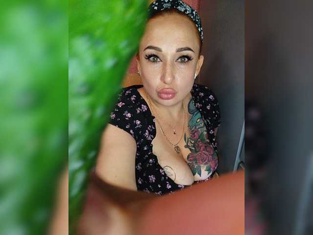 Pishechka2