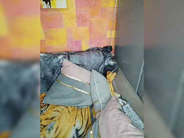 Drochu_kak_hochu_ webcam