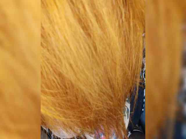 Model: Drochu_kak_hochu_