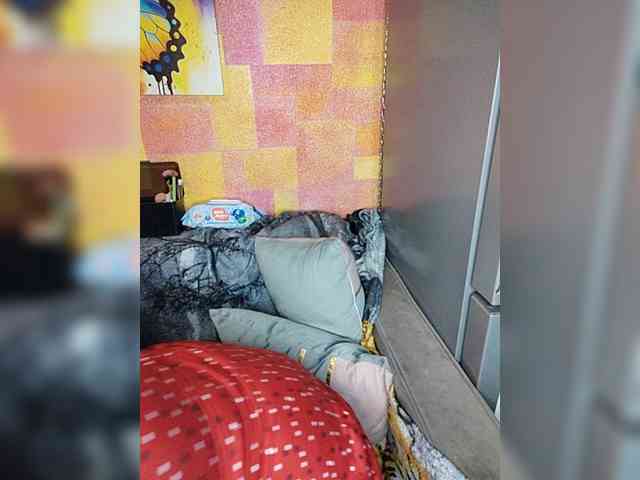 Drochu_kak_hochu_ webcam