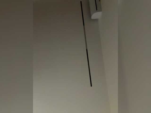 vintiki