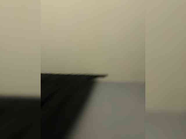 vattttaaa webcam