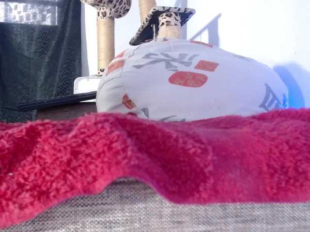Lizhot2305