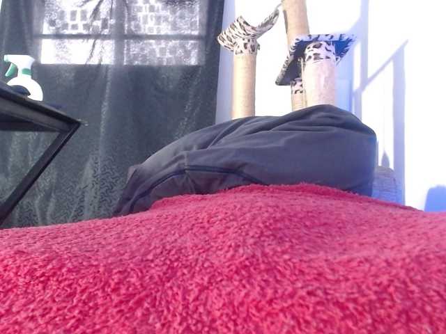 Lizhot2305