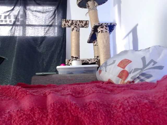 Lizhot2305 live cam on BongaCams