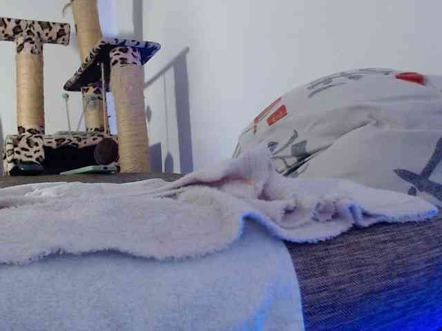 Lizhot2305 webcam