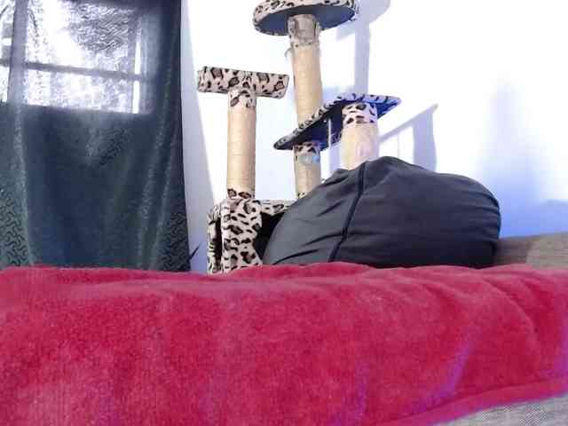 Lizhot2305 webcam