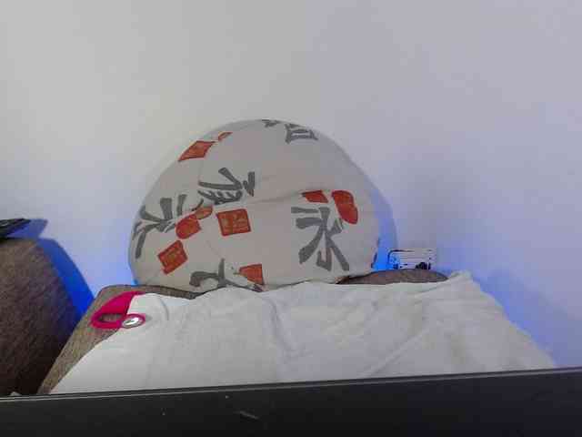 Lizhot2305 webcam