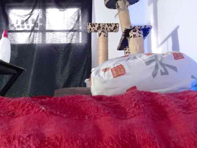 Lizhot2305 webcam