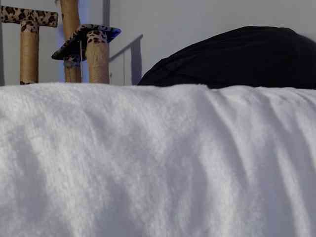 Lizhot2305 webcam