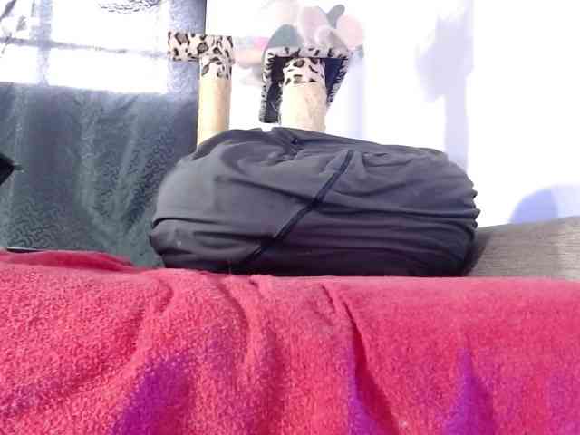 Lizhot2305 webcam