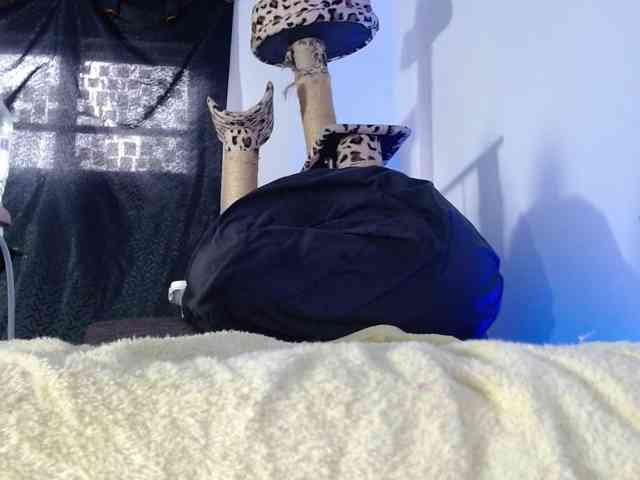 Lizhot2305 webcam