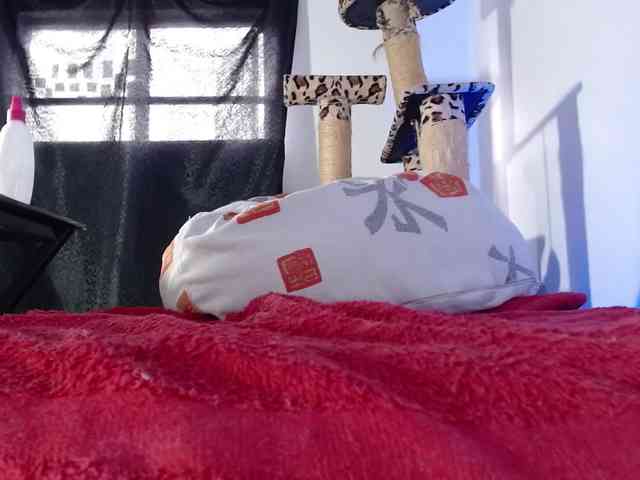 Lizhot2305 webcam
