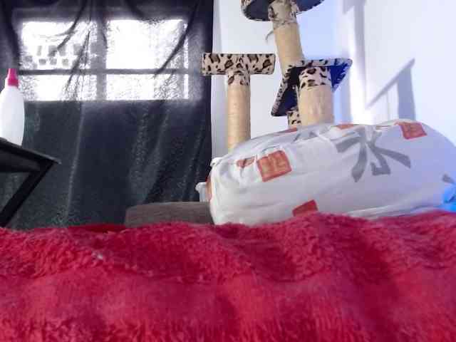 Lizhot2305 webcam