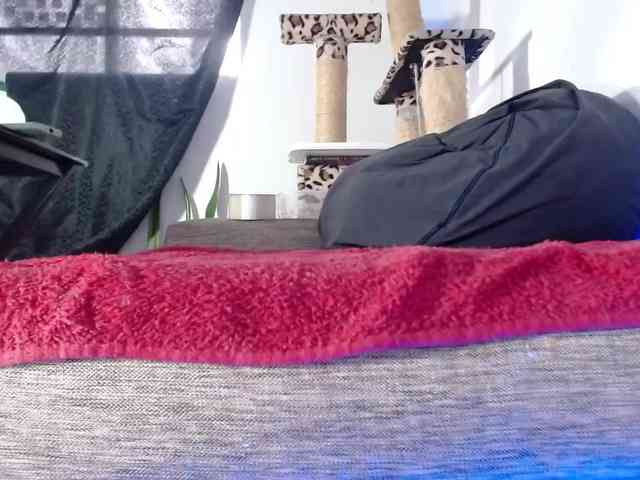 Lizhot2305 webcam