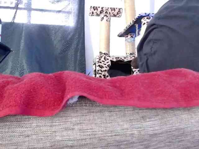 Lizhot2305 webcam