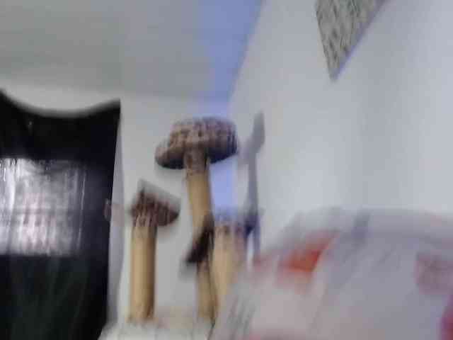 Lizhot2305 webcam