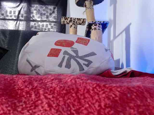 Lizhot2305 webcam