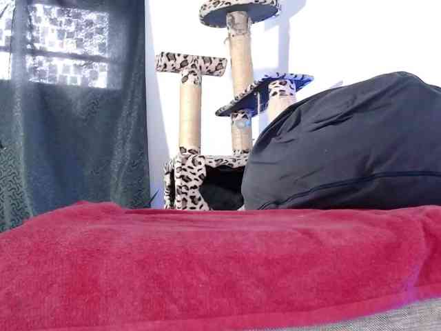 Lizhot2305 webcam