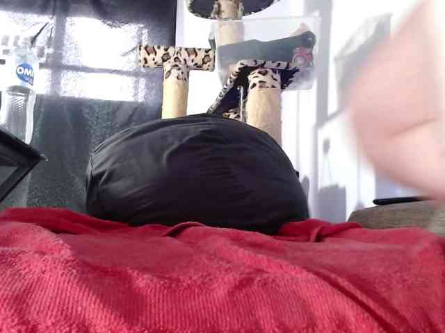 Lizhot2305 Lizhot2305