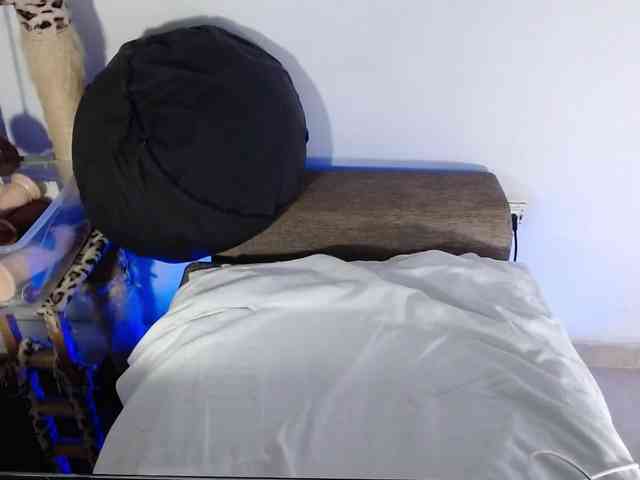 Lizhot2305 webcam